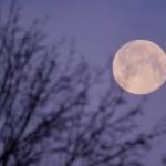 vollmond januar 2025