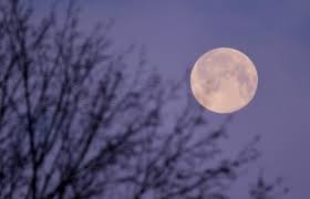 vollmond januar 2025